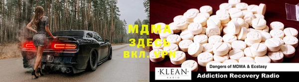 стаф Алзамай