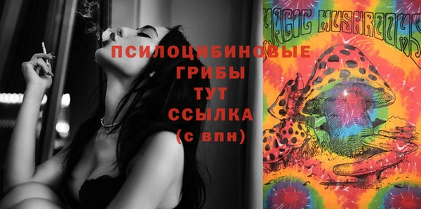 стаф Алзамай