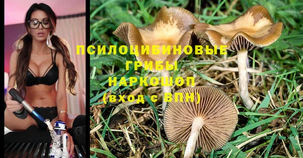 тгк Алексин